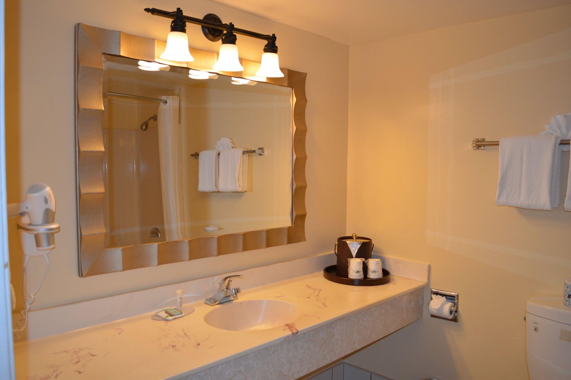 Travelodge By Wyndham Downtown Convention Center 2* San Diego